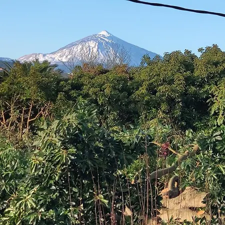 El Trazo 別荘 タコロンテ