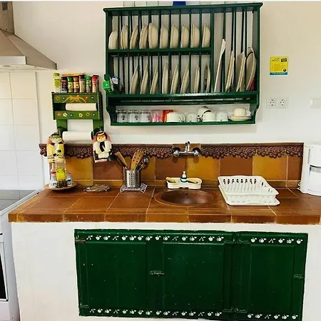 El Trazo タコロンテ