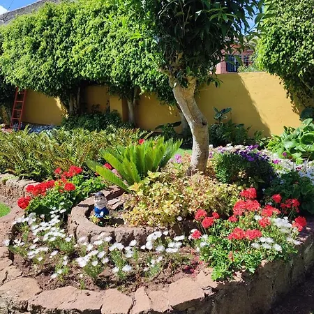 El Trazo 別荘 タコロンテ