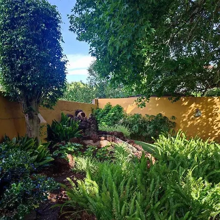 El Trazo * タコロンテ