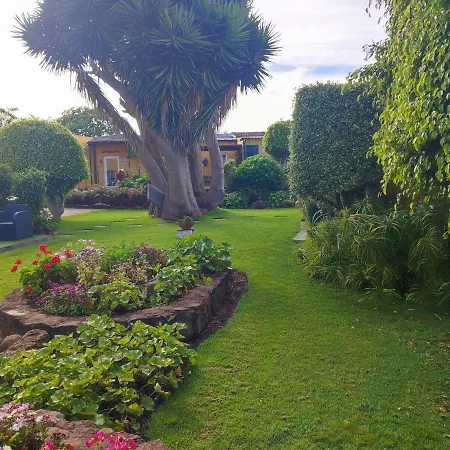 El Trazo * タコロンテ