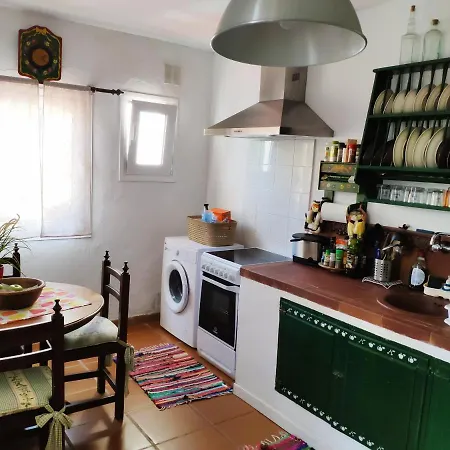 El Trazo * タコロンテ