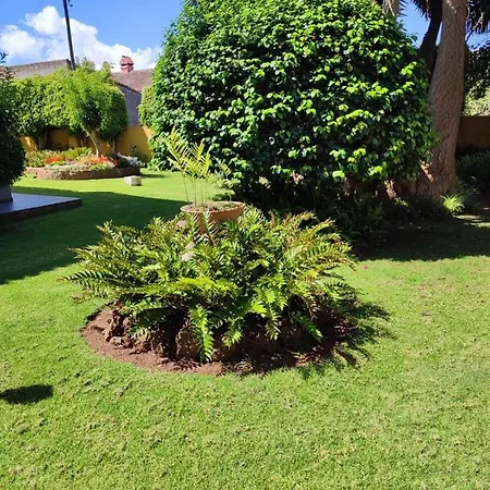 Vakantiehuis El Trazo Tacoronte